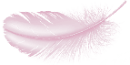 Feder transparent 130px